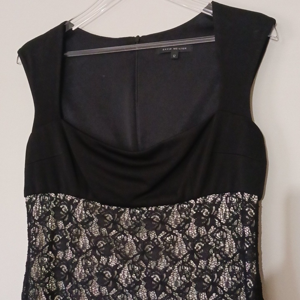 David Meister Whimsigoth Black and Cream Lace Bodycon Dress, Size 12 - Picture 2 of 8
